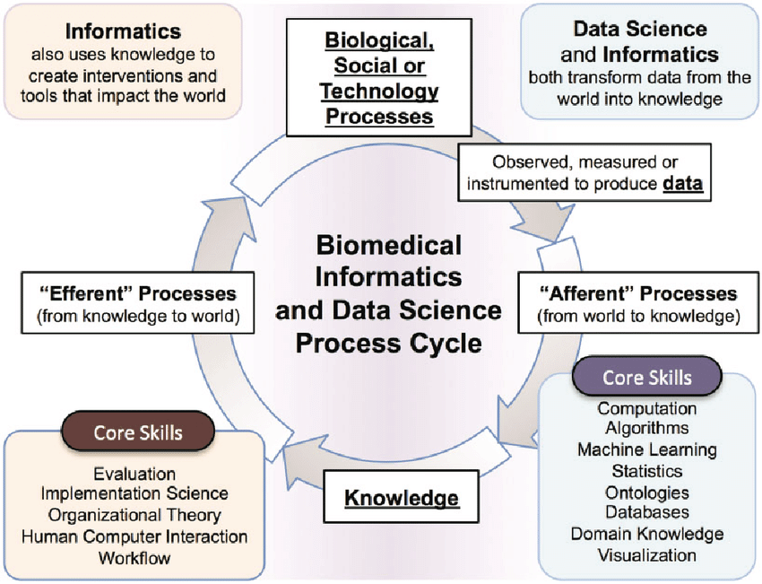 Biomedical Informatics and Data Science Process Cycle