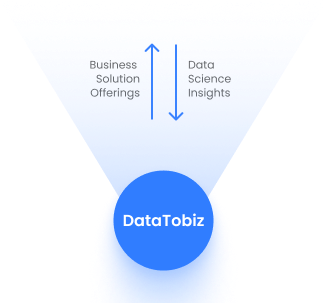 Artificial Intelligence Consulting Services - DataToBiz