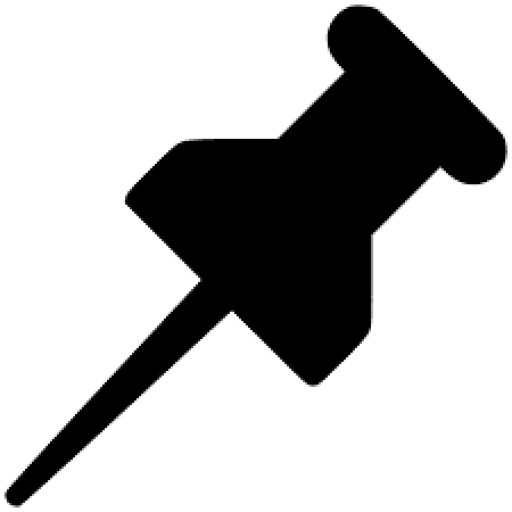 Pin icon